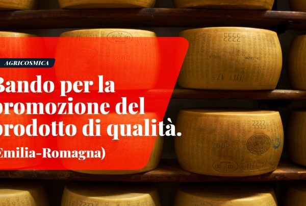 Emilia-Romagna: Bando per promozione IGP DOP STG bio e prodotti di Qualità